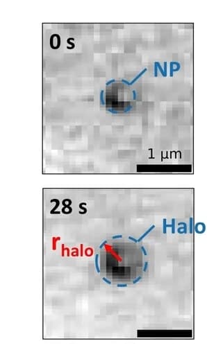 Open access visualization of Microscopy, Optical images, Pt NP, Potential cycle, Dark halo