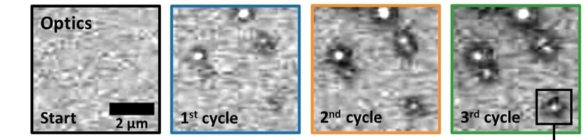 Open access visualization of Microscopy, Optical Images, CV Cycle, Ni NPs, Halo
