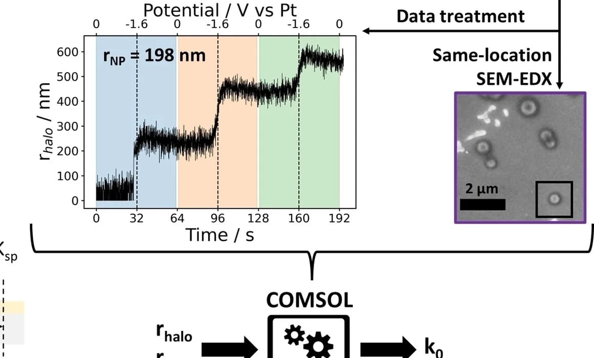 Open access visualization of Line Plot, Microscopy, Workflow, SEM Image, Ex Situ
