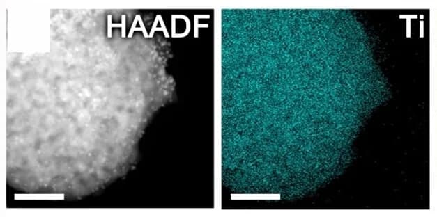 Open access visualization of Microscopy, HAADF-STEM, High-Angle Annular Dark-Field Scanning TEM, Energy-Dispersive X-ray Spectroscopy, EDS Maps