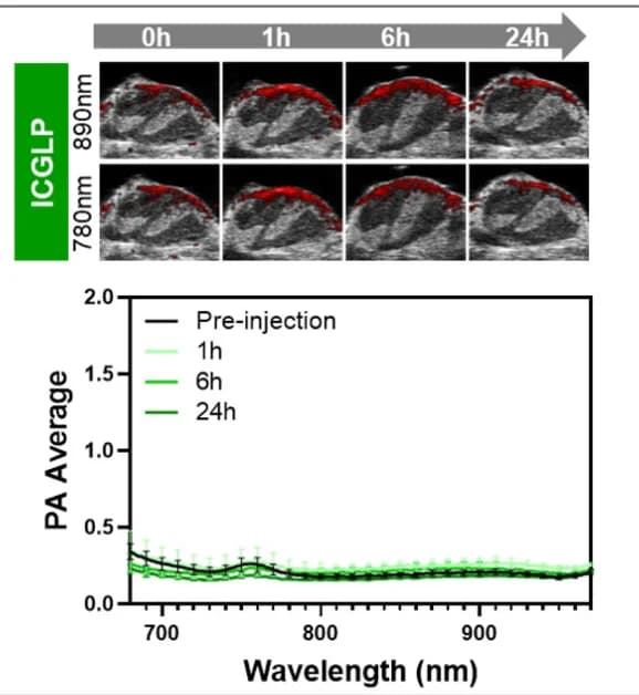 Open access visualization of Line Plot, Error Bars, PA imaging, Tumor Sites, ICGLP