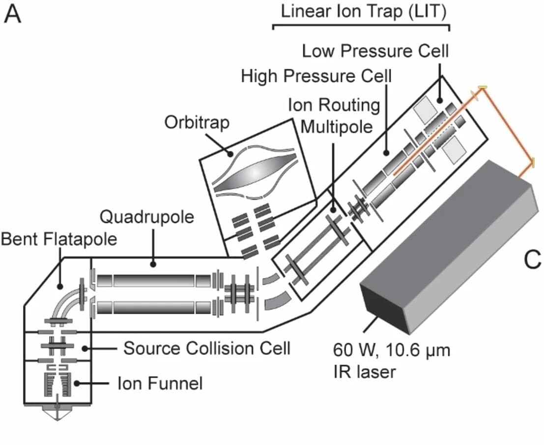 Open access visualization of Workflow, Illustration, Native mass spectrum, Ammonia channel, AmtB