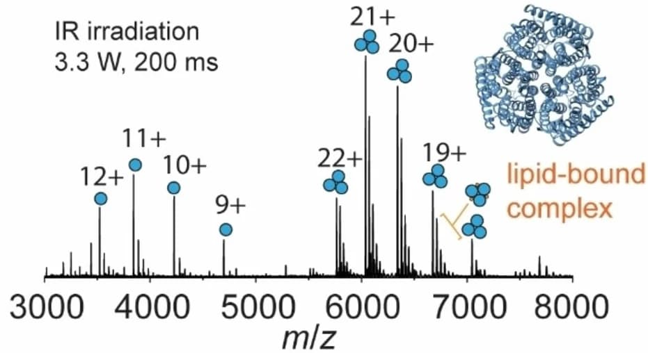 Open access visualization of Bar Plot, Protein Structure, Native mass spectrum, AmtB, Phospholipids