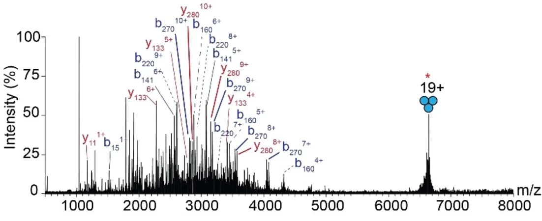 Open access visualization of Line Plot, MS2 Spectrum, Fragment Ions, IRMPD, Ion Trap Isolation