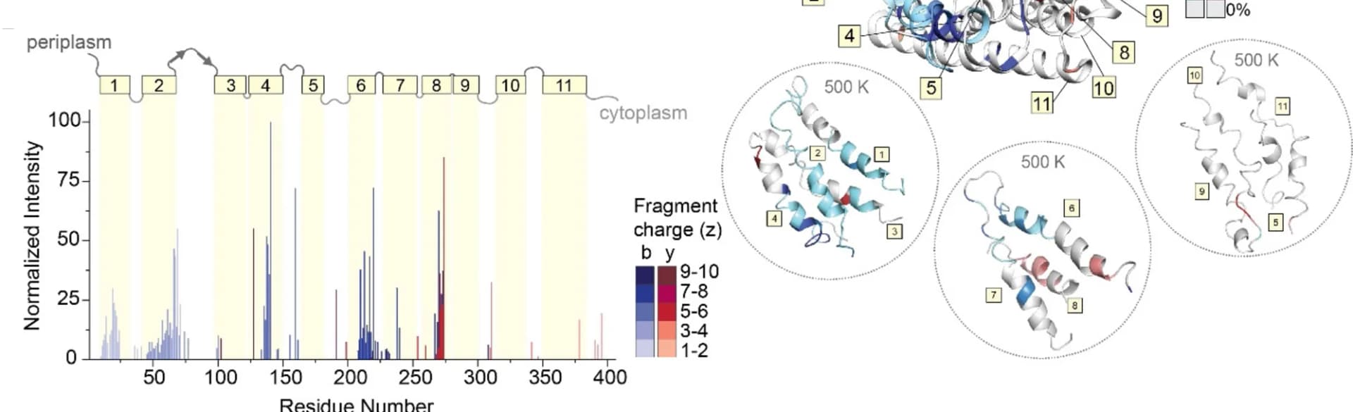 Open access visualization of Bar Plot, Protein Structure, Fragment Abundance, Residue Number, Cleavage