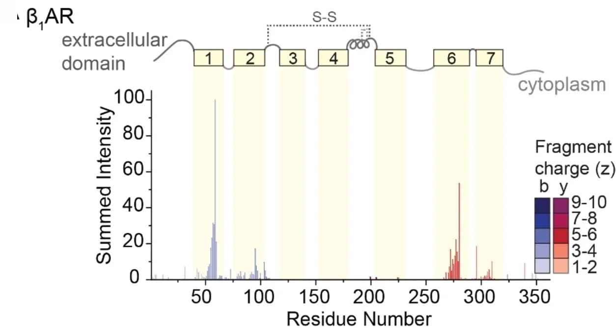 Open access visualization of Bar Plot, Histogram, Fragment Abundance, Cleavage Site, Residue Number