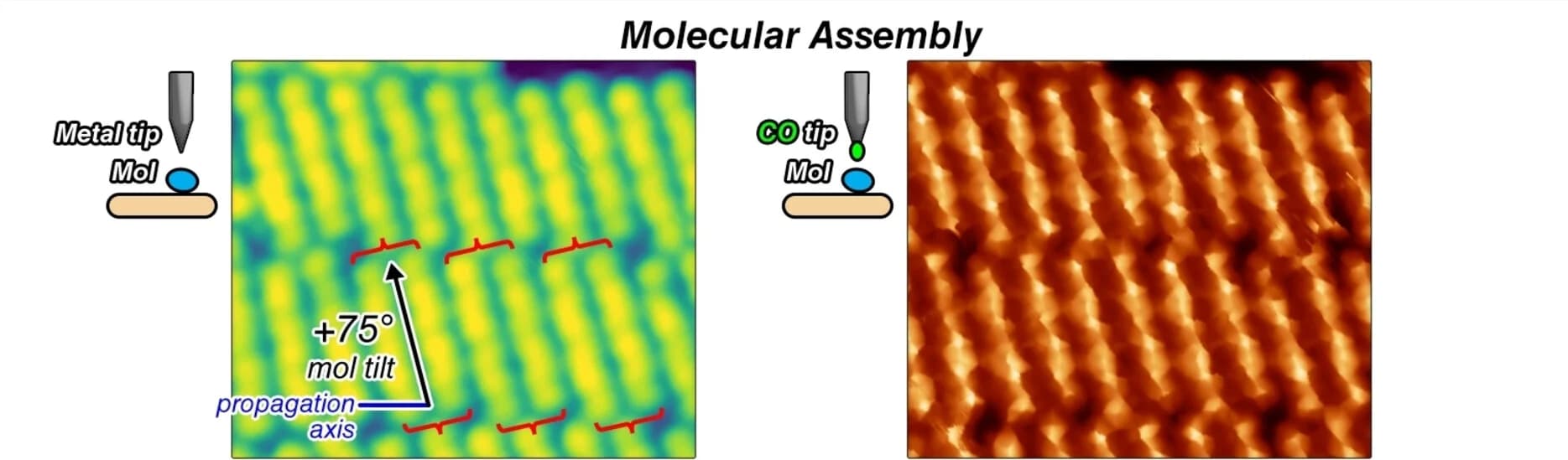 Open access visualization of Microscopy, Cellohexaose, Self-assembly, CO-functionalized Tip, Dimers