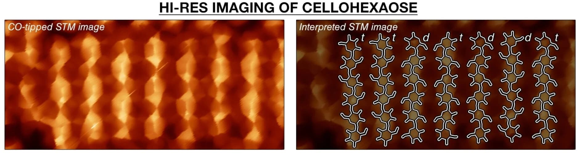Open access visualization of Microscopy, Chemical Structure, CO-tipped STM, Cellohexaose, Au(111) surface