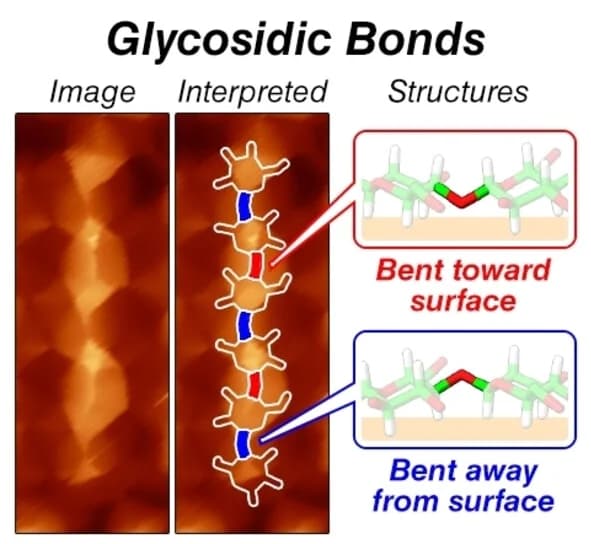 Open access visualization of Microscopy, Chemical Structure, Illustration, CO-tipped imaging, Glycosidic bonds