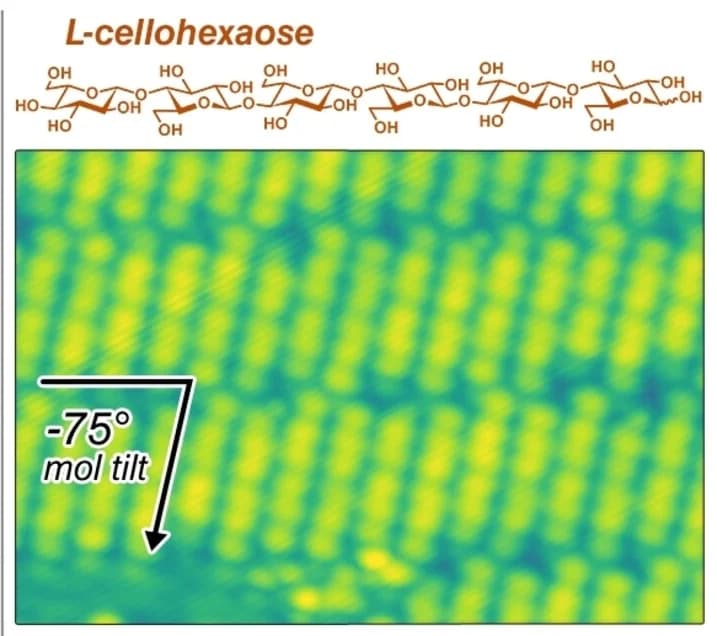 Open access visualization of Microscopy, Chemical Structure, Cellohexaose, L-Cellohexaose