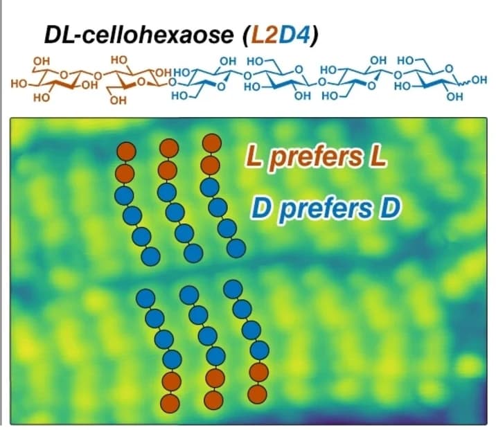Open access visualization of Microscopy, Chemical Structure, D-D interactions, L-L interactions, Cellohexaose