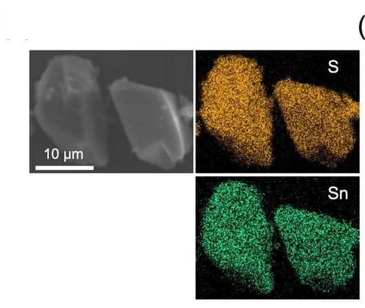Open access visualization of Microscopy, SEM, EDS, Mapping Images