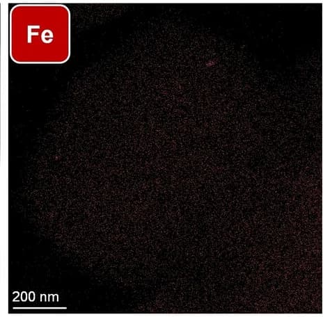 Open access visualization of Microscopy, STEM-EDX, FeMFI100 Catalysts