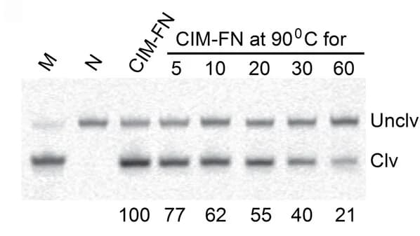 Open access visualization of Gel, Activity, DT4, CIM-FN, Heat Treatment