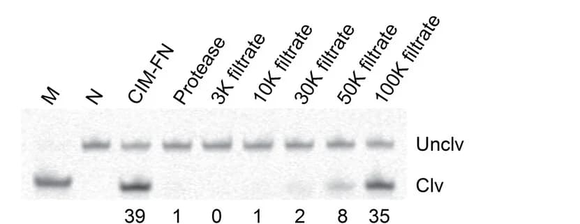 Open access visualization of Gel, DT4, Protease-treated CIM-FN, Filtered CIM-FN, DNAzyme Assays