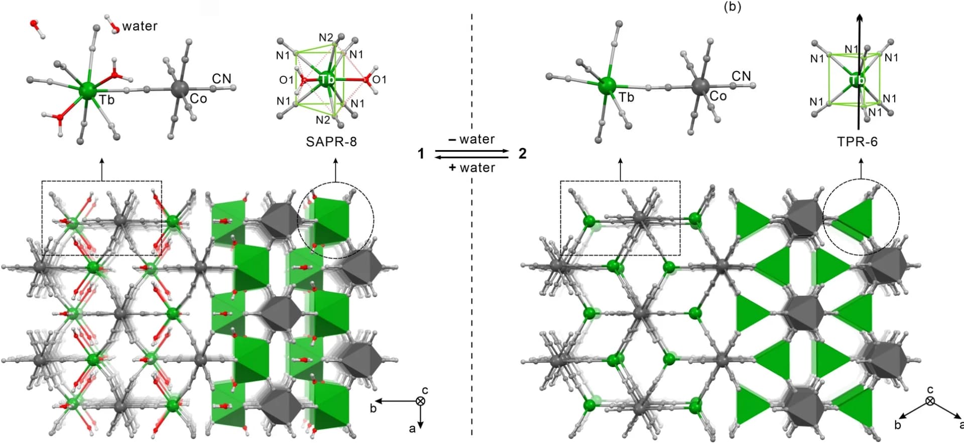 Open access visualization of Chemical Structure, Crystal Structures, Molecular Building Units, TbIII Complexes, Cyanido-Bridged Framework
