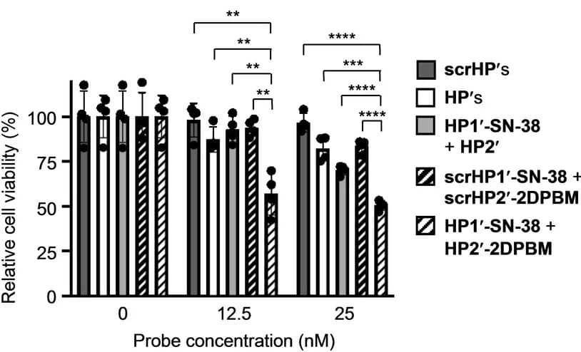 Open access visualization of Bar Plot, Error Bars, Clustered, Cell Viability Assay, MDA-MB-231 Cells