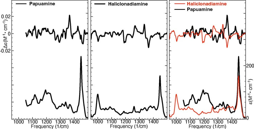 Open access visualization of Line Plot, IR Spectra, VCD Spectra, Papuamine, Haliclonadiamine