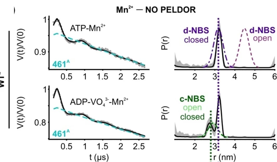 Open access visualization of Line Plot, Density Plot, NO-NO, Mn2+-NO, Mn2+-Mn2+