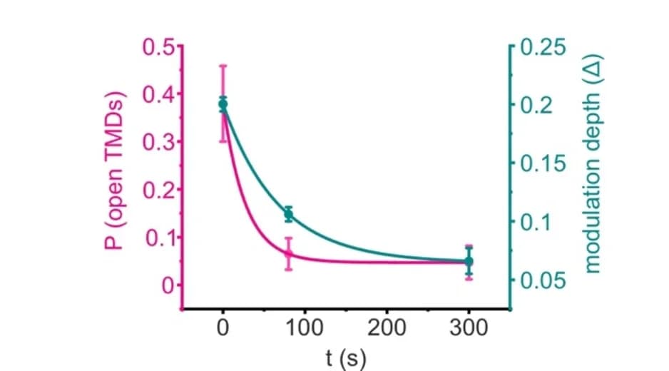 Open access visualization of Line Plot, Error Bars, Modulation Depth, Probability Amplitude, Distance Distributions