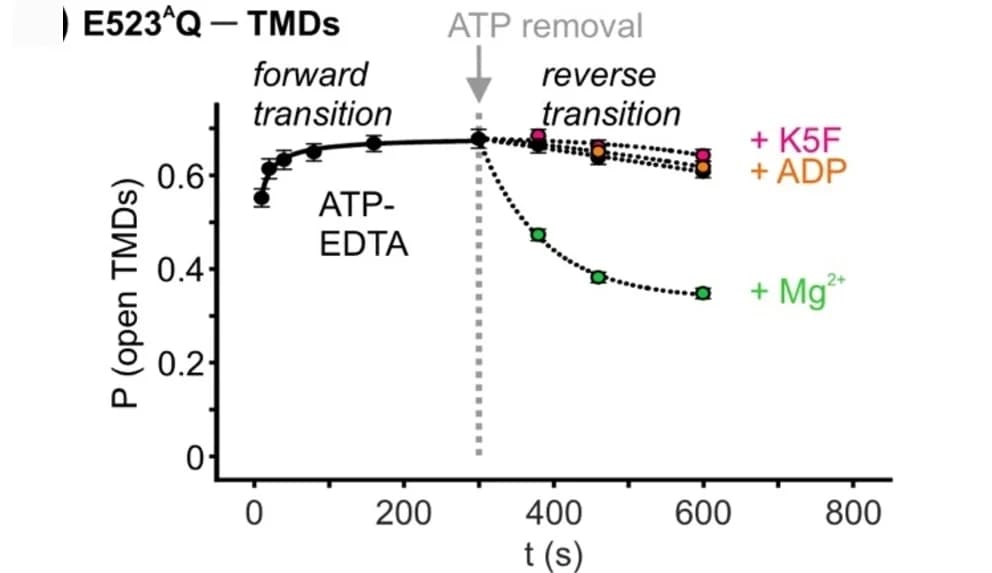 Open access visualization of Line Plot, Error Bars, Time-resolved NO-NO 4-pulse PELDOR, V288R1A-E272R1B Variant, TMDs