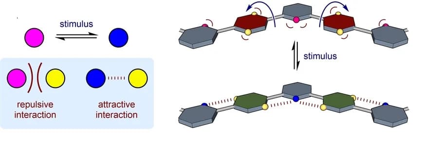 Open access visualization of Illustration, Workflow, Backbone Conformation, Rotation, Stimulus