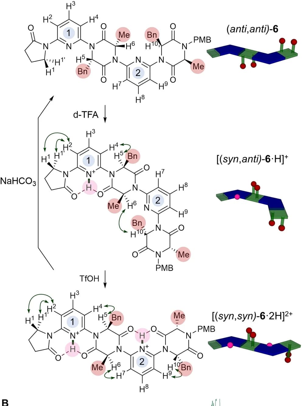 Open access visualization of Chemical Structure, Illustration, ROESY, Foldamer, Sidechains