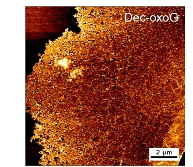 Open access visualization of Microscopy, AFM Images, Dec-oxoG NSs