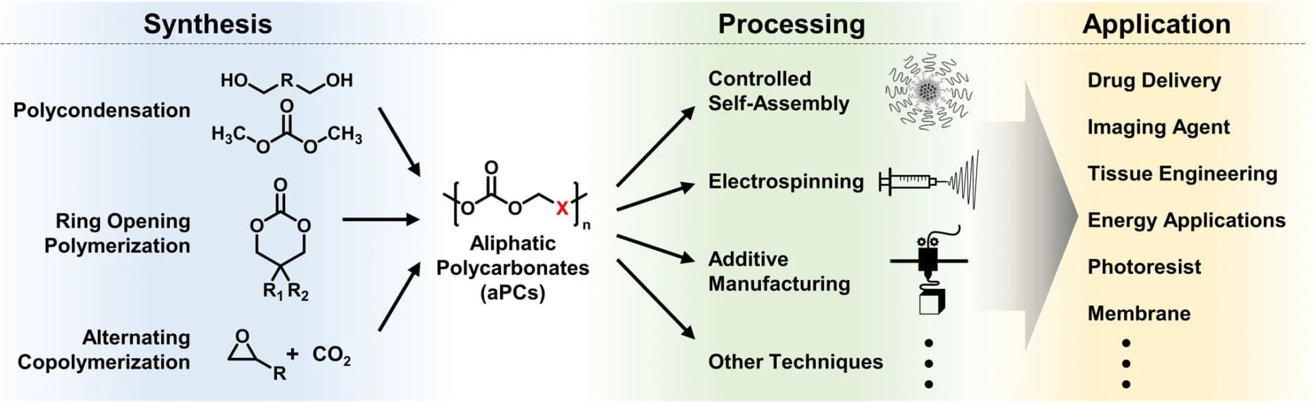 Open access visualization of Workflow, Flowchart, Illustration, aPC, Synthesis