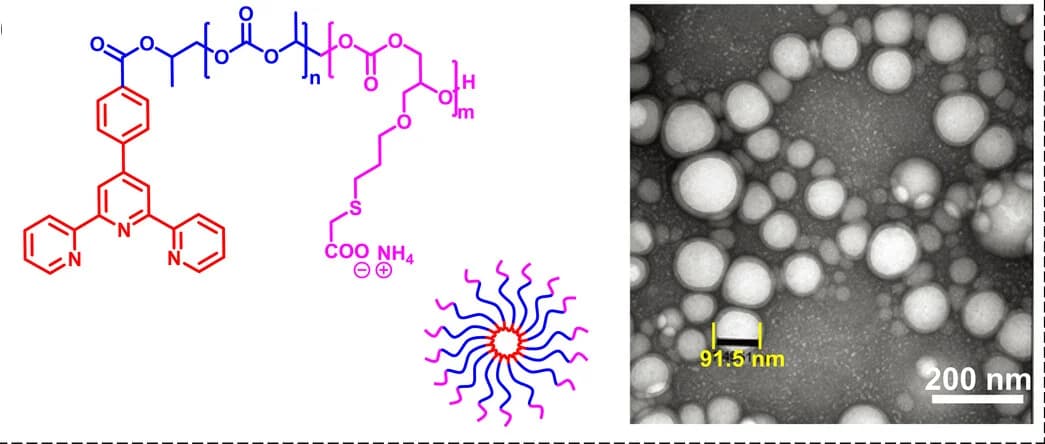Open access visualization of Chemical Structure, Microscopy, Illustration, aPC, TEM