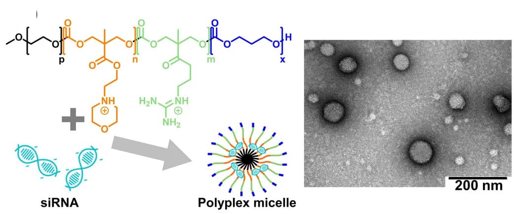 Open access visualization of Microscopy, Chemical Structure, Illustration, Schematic Illustration, TEM
