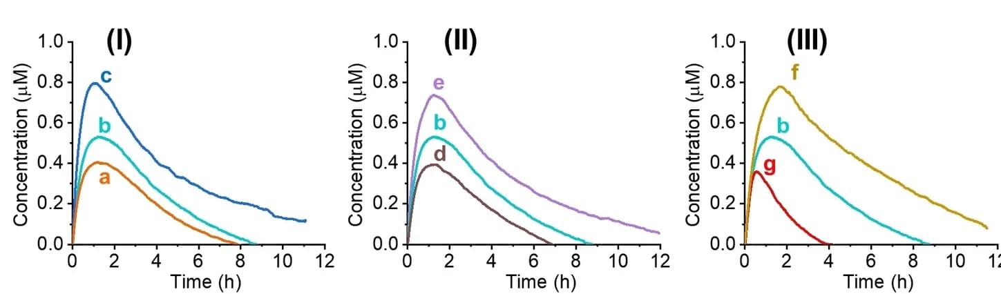 Open access visualization of Line Plot, ZnIIPPIX, G-quadruplex, Transcription Machinery, NTPs