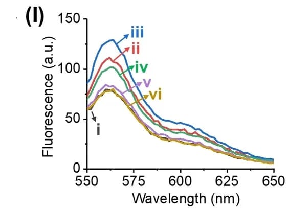 Open access visualization of Line Plot, Fluorescence Spectra, Polymerization, Transcription, Polymerase