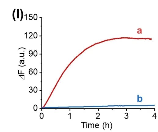 Open access visualization of Line Plot, Fluorescence, G-quadruplex, Transcription, RNA Aptamer