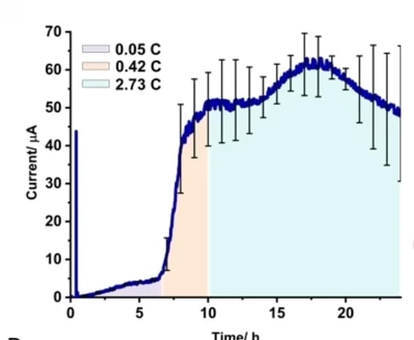 Open access visualization of Line Plot, Error Bars, Carbon Cloth, Biofilm, S. Aureus