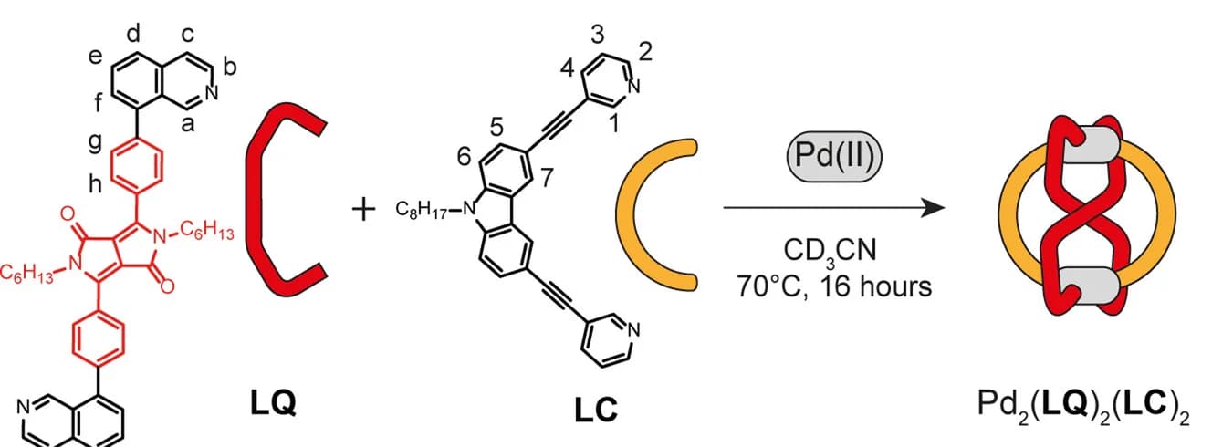 Open access visualization of Chemical Structure, Workflow, Self-Assembly, Ligand, Heteroleptic Cage