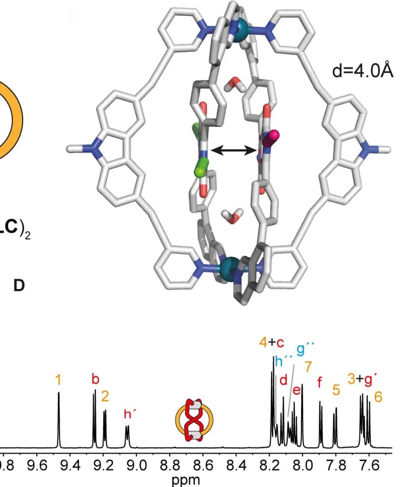 Open access visualization of Line Plot, Chemical Structure, X-Ray Crystal Structure, DPP Backbone, Alkyl Chains