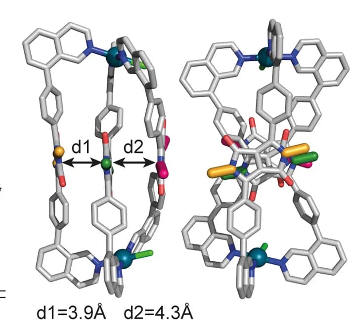 Open access visualization of Protein Structure, Chemical Structure, DFT, DPP Backbone