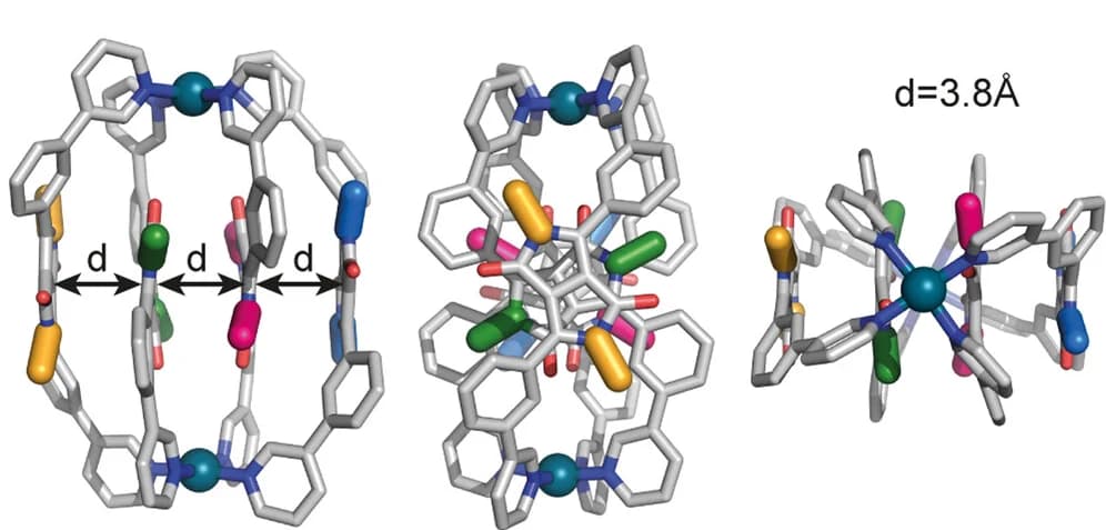 Open access visualization of Chemical Structure, X-ray Crystal Structure, [Pd2(L3)4](BF4)4, DPP Backbones, Alkyl Chains