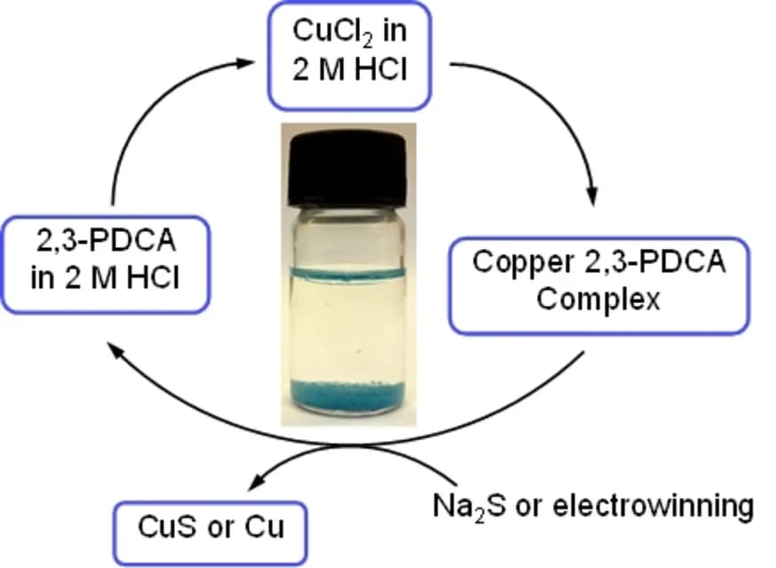 Open access visualization of Workflow, Photo, Precipitation, Copper, 2,3-PDCA