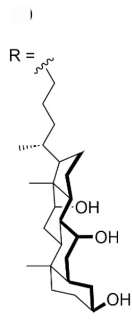 Open access visualization of Chemical Structure, Cholic Acid, Substituent