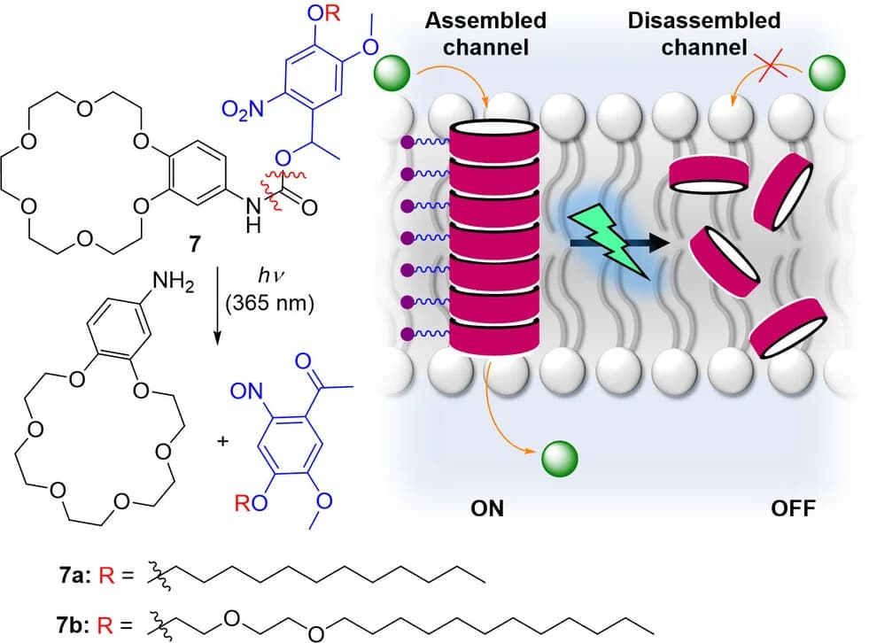 Open access visualization of Workflow, Chemical Structure, Illustration, Schematic Representation, Channel-like Self-Assembly