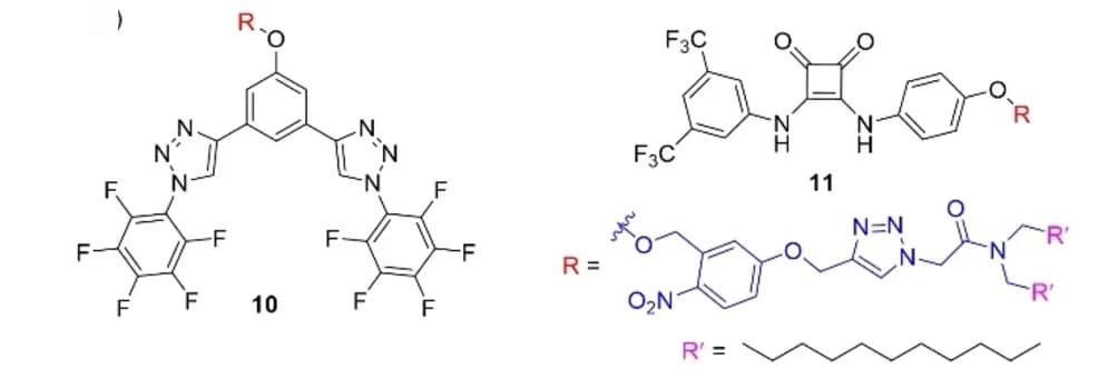 Open access visualization of Chemical Structure, Membrane, Pro-carriers