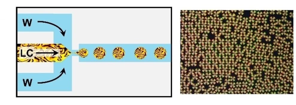 Open access visualization of Microscopy, Workflow, Microfluidics, Monodisperse, LC Droplets