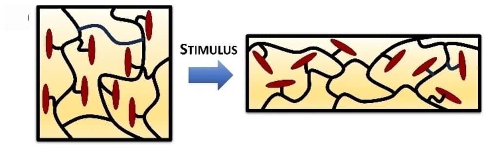 Open access visualization of Illustration, LCE Actuation, LC Phase, Mesogens, Polymer Backbone