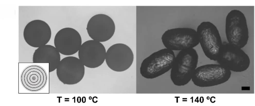 Open access visualization of Microscopy, Photo, LCE Particles, Deformation, Temperature Changes