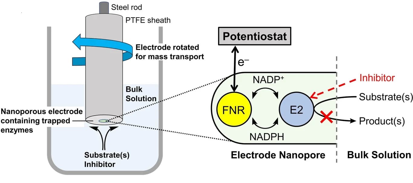 Open access visualization of Workflow, Illustration, e-Leaf, Dehydrogenase, Analytical Tool