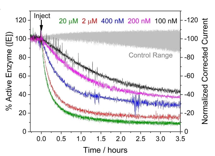 Open access visualization of Line Plot, IDH1 R132H, Ivosidenib, Enzyme Rate, Concentration