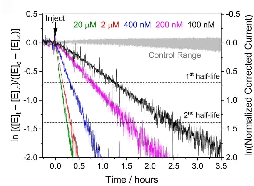 Open access visualization of Line Plot, IDH1 R132H, Inhibition, Reaction Kinetics, Equilibrium Value