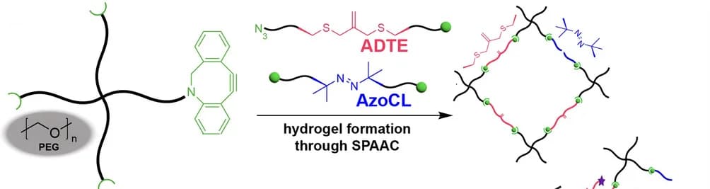 Open access visualization of Workflow, Chemical Structure, Hydrogel Formation, Crosslinkers, Star-PEG